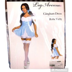 Leg Avenue Gingham Dress “Not In Kansas” Dress Halloween Costume